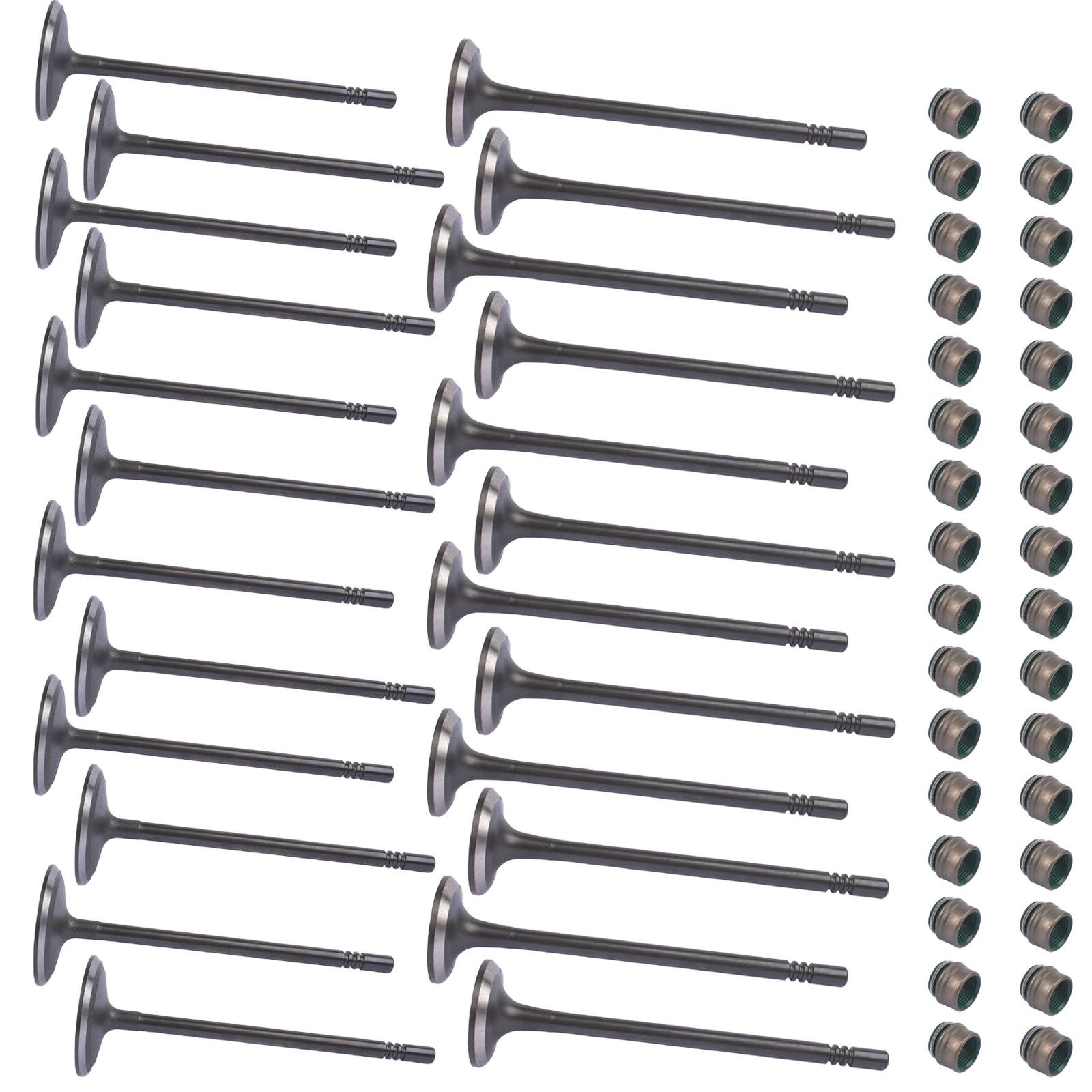 Intake & Exhaust Valve Set 5