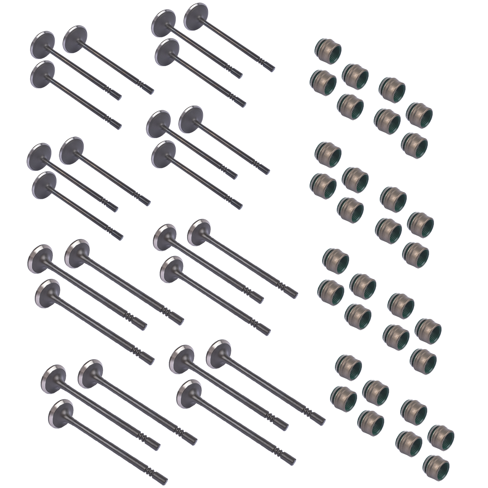 Intake & Exhaust Valve Set 6